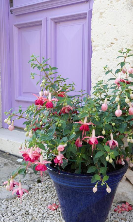 Gite Rural La Maison Mauve Ventouse Esterno foto